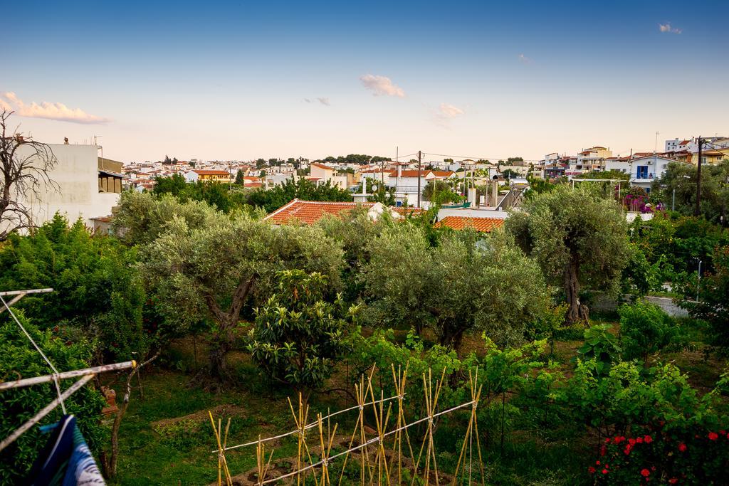 Act Art Skiathos Exterior photo